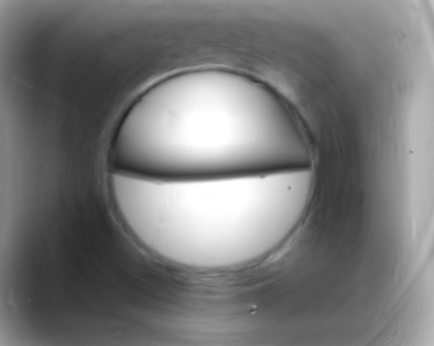 X0000088471500200706051333