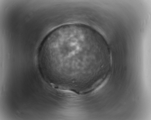 X0000088471501200706051333