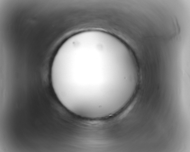 X0000088471502200706051333