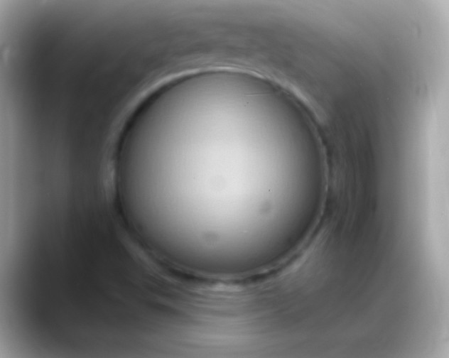 X0000088471503200706051333