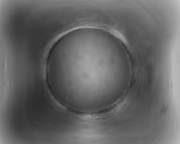 X0000088471504200706051333