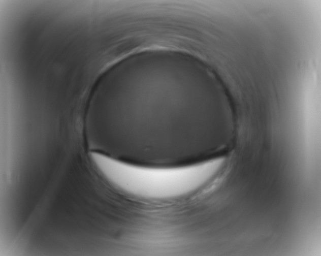 X0000088471505200706051333