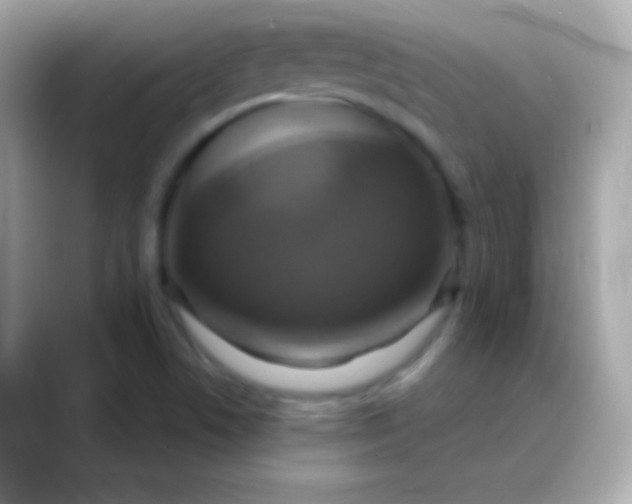 X0000088471506200706051333