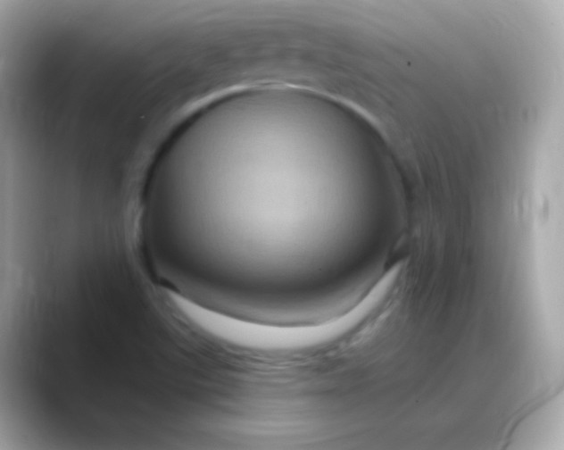 X0000088471507200706051333