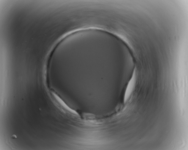 X0000088471508200706051333