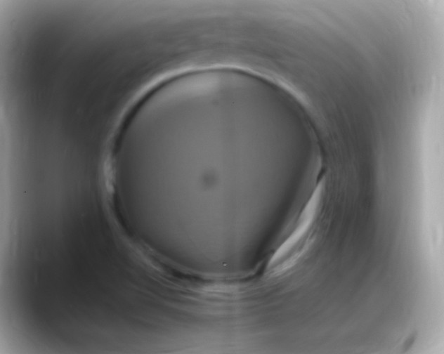 X0000088471510200706051333