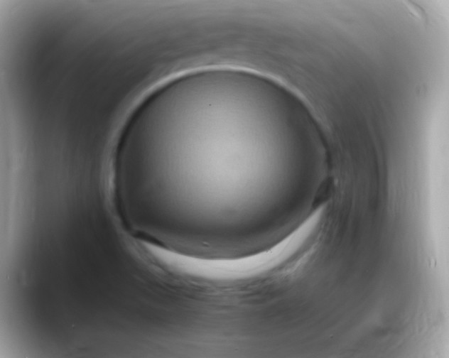 X0000088471511200706051333