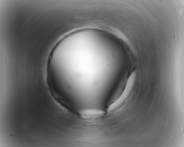 X0000088471512200706051333