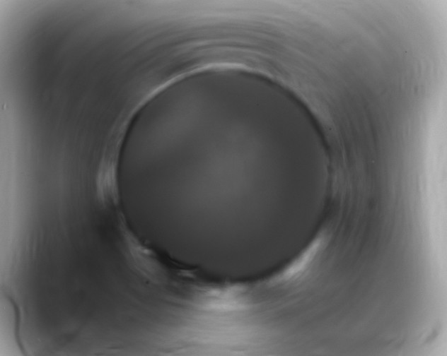 X0000088471513200706051333