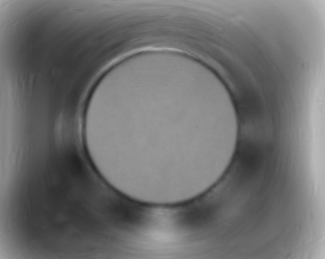 X0000088471514200706051333