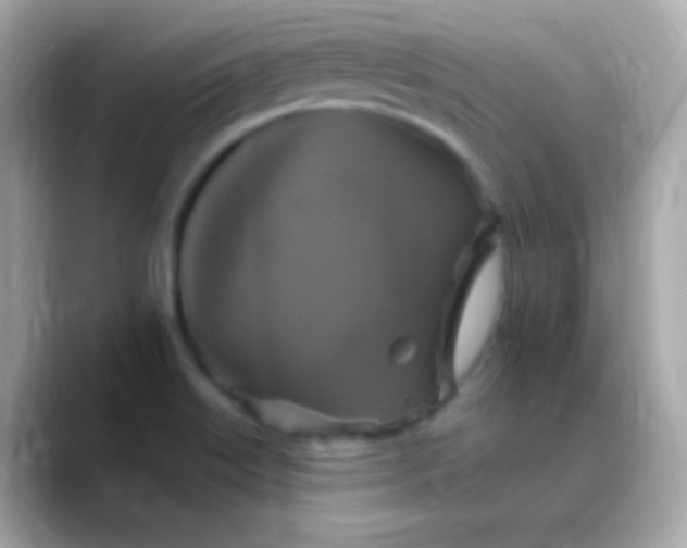 X0000088471515200706051333