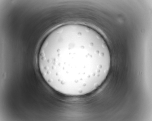 X0000088471517200706051333