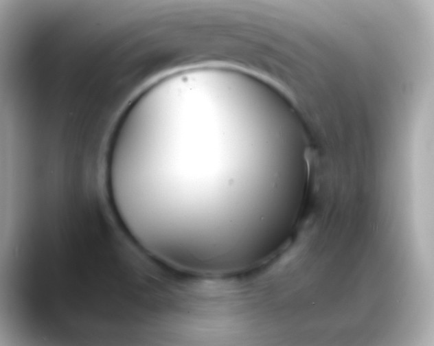 X0000088471518200706051333