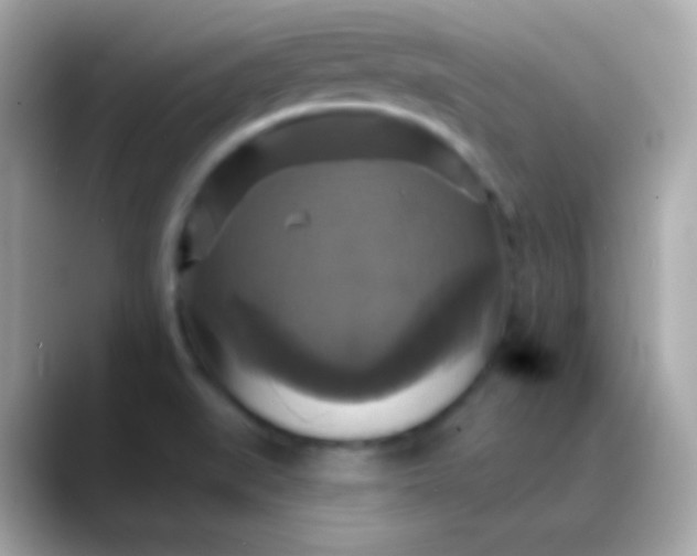 X0000088471519200706051333