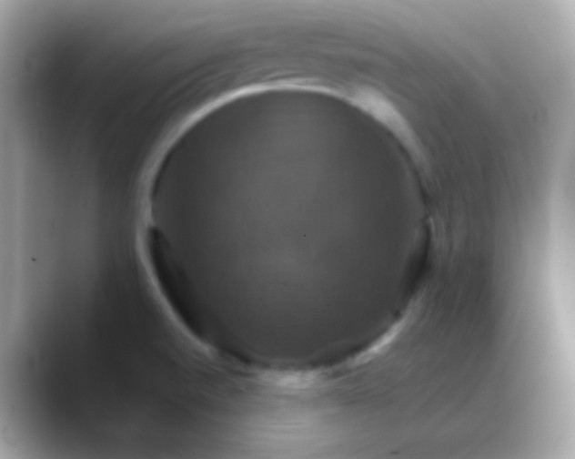 X0000088471520200706051333