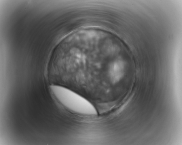 X0000088471521200706051333