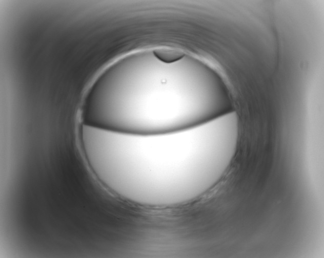 X0000088471524200706051333