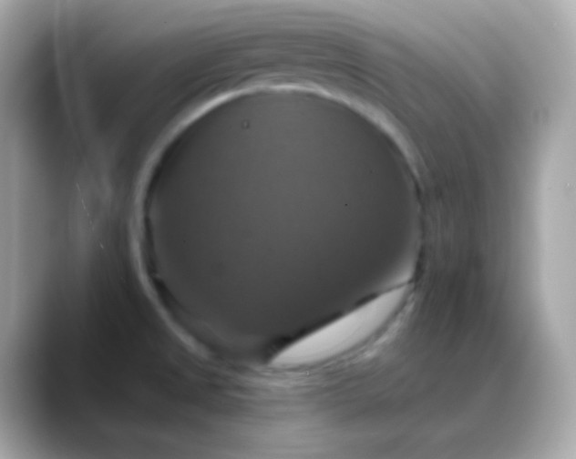 X0000088471525200706051333