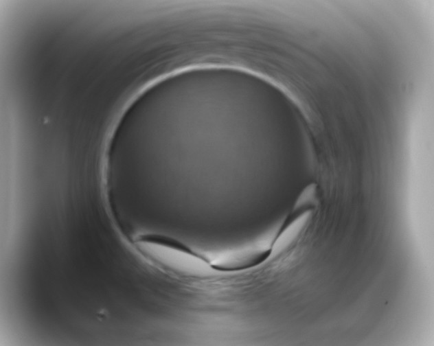 X0000088471527200706051333