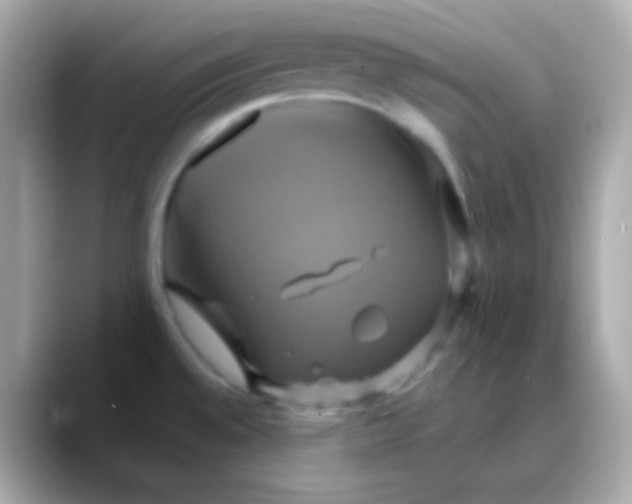 X0000088471528200706051333