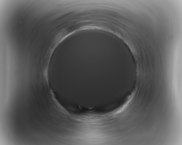 X0000088471529200706051333