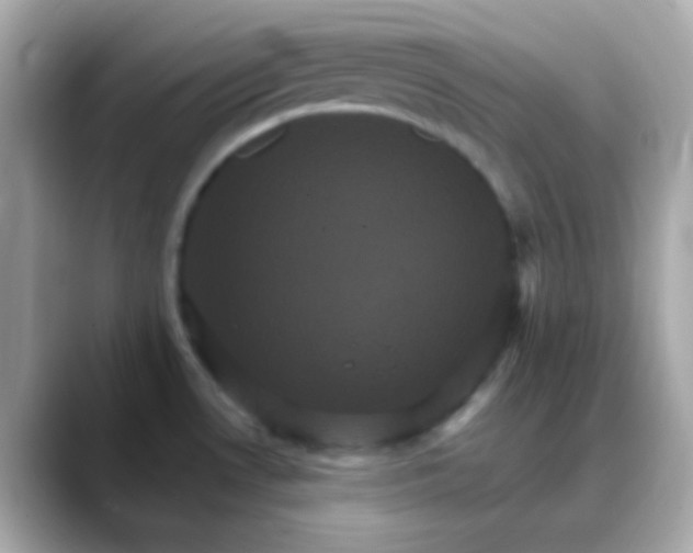 X0000088471530200706051333