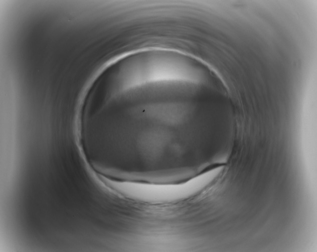 X0000088471531200706051333