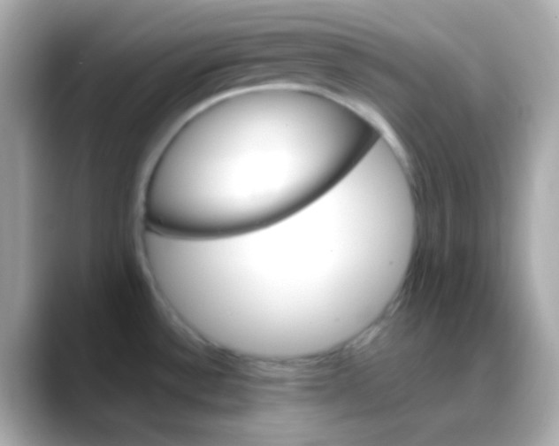 X0000088471532200706051333