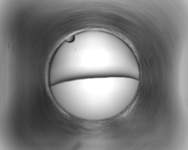 X0000088471533200706051333