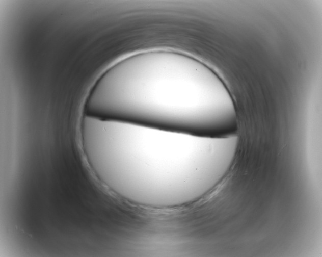 X0000088471534200706051333