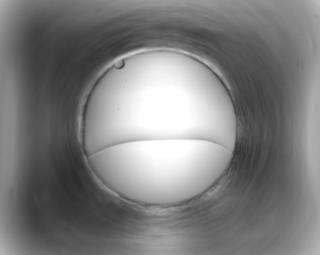 X0000088471535200706051333