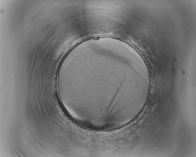 X0000088470002200706121541