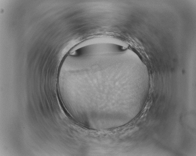 X0000088470003200706121541