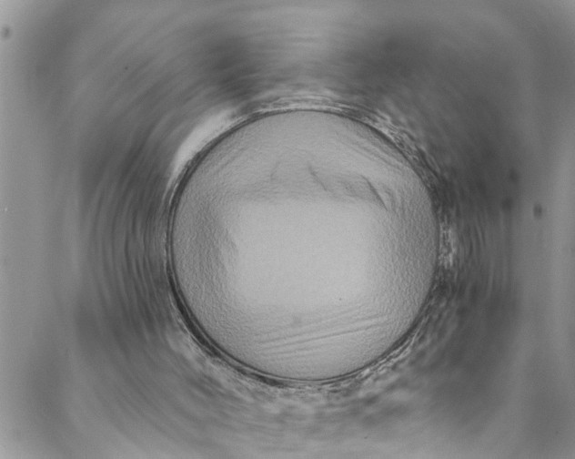 X0000088470004200706121541