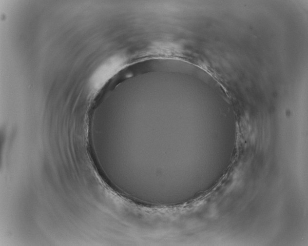 X0000088470005200706121541