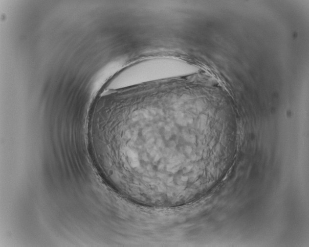 X0000088470006200706121541