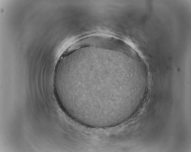 X0000088470007200706121541