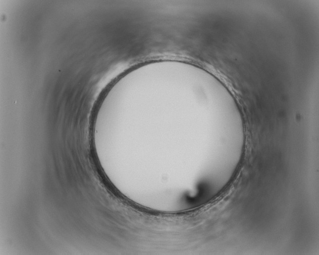 X0000088470008200706121541