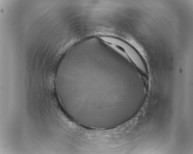 X0000088470009200706121541