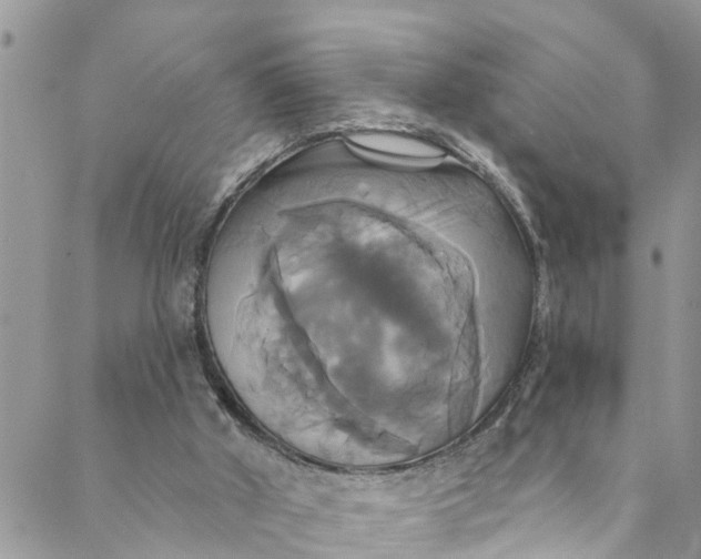 X0000088470010200706121541