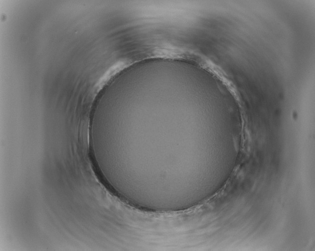 X0000088470011200706121541