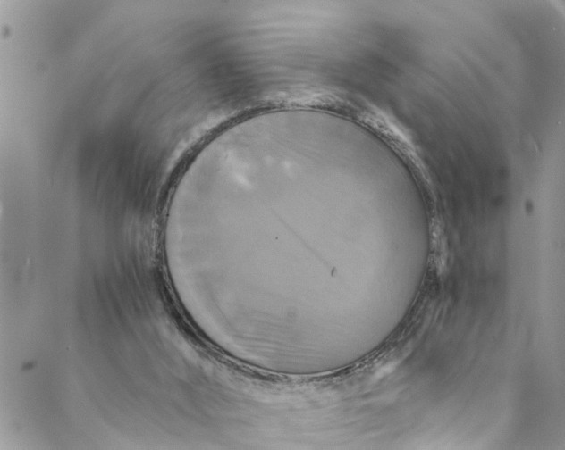 X0000088470012200706121541