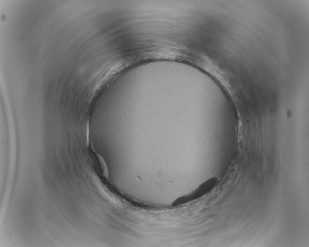 X0000088470013200706121541