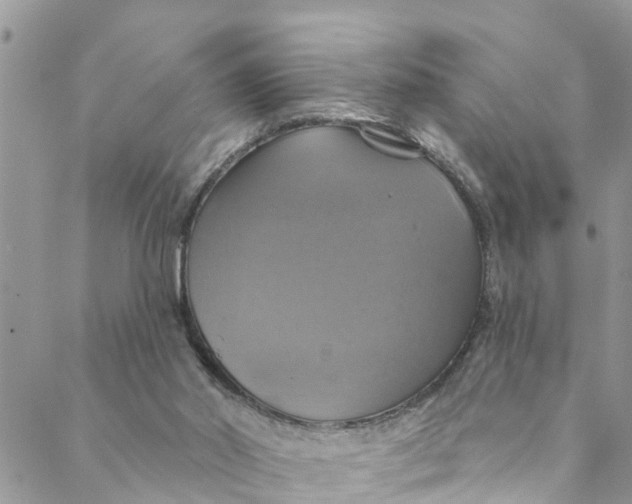 X0000088470014200706121541