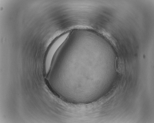 X0000088470015200706121541