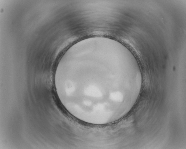 X0000088470016200706121541