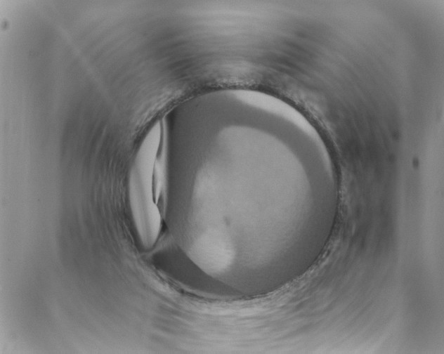 X0000088470017200706121541