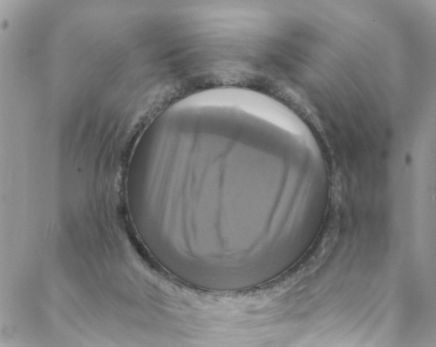 X0000088470018200706121541