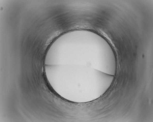 X0000088470019200706121541