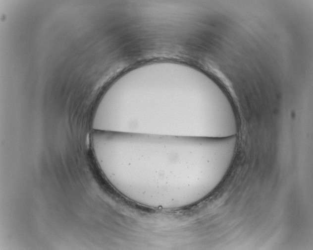 X0000088470020200706121541